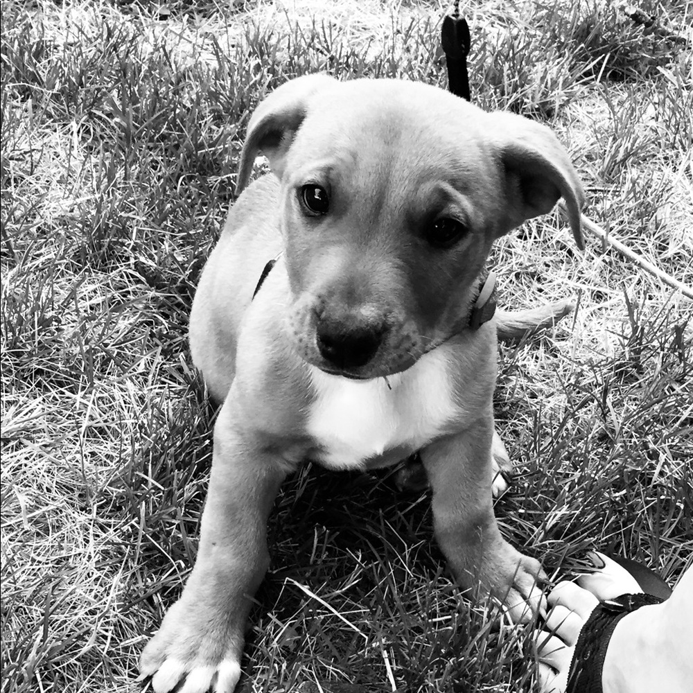 Meet your Posher, Todd